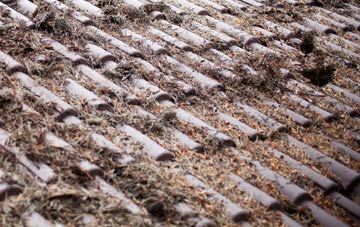 Hillmorton roof cleaning companies