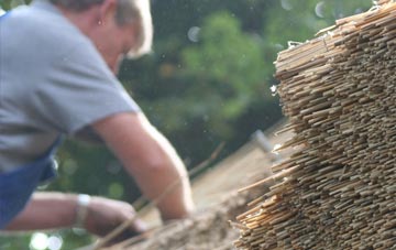 professional Hillmorton thatchers